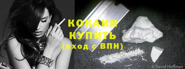 Альфа ПВП Пересвет