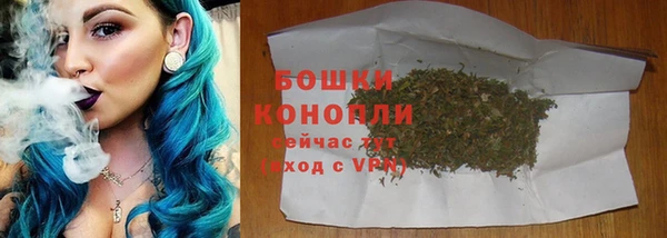 Альфа ПВП Пересвет