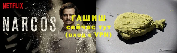 мдпв Пестово