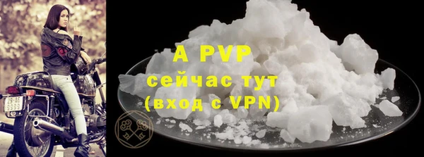 Альфа ПВП Пересвет
