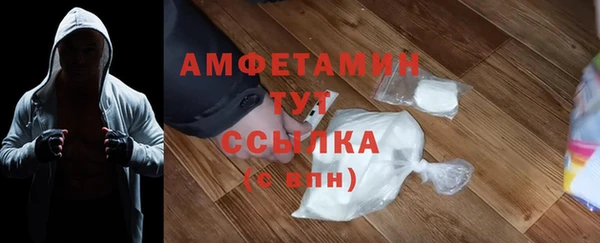 мдпв Пестово