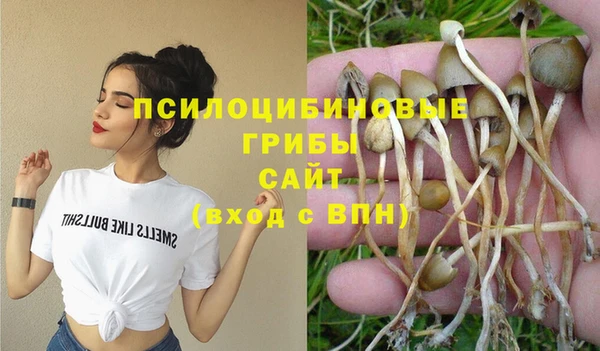 не бодяженный Осташков
