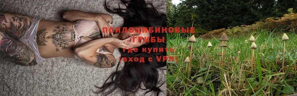 Альфа ПВП Пересвет