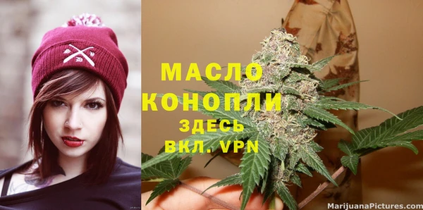 мдпв Пестово