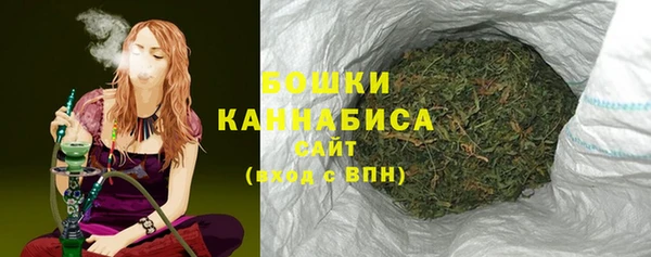 мдпв Пестово