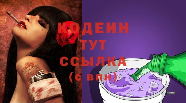 Альфа ПВП Пересвет