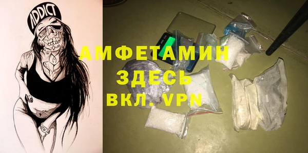 мдпв Пестово