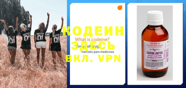мдпв Пестово