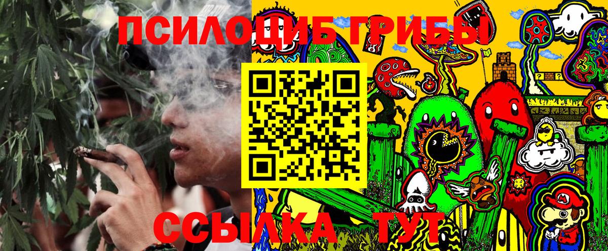 Псилоцибиновые грибы Cubensis  Вход с VPN  Краснотурьинск  Псилоцибиновые грибы Cubensis 