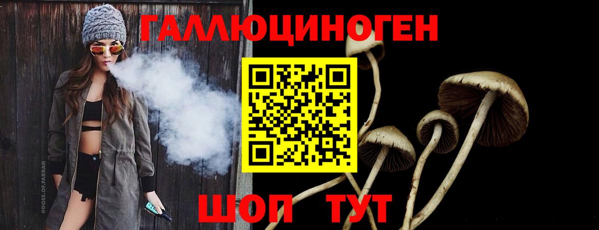 Галлюциногенные грибы Psilocybe Краснотурьинск